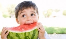 朝堂吃瓜听书免费下载,揭秘宫廷秘闻，免费下载听书盛宴