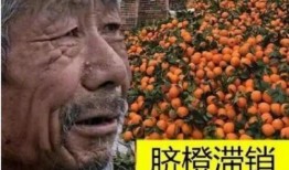 黄大爷吃瓜视频大全免费观看,免费观看，笑料横生