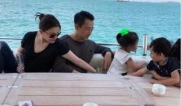 台媒爆料汪小菲视频大全,揭秘明星私生活瞬间